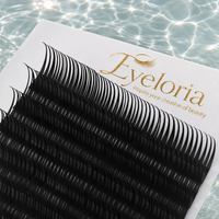 Extensions de cils pré-faits en éventail, type Manga Wispy Cosplay, avec pointes, volume, 0.05 0.07mm, effet mouillé, fournitures pour cils