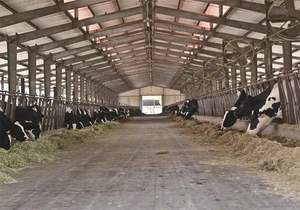 โรงเรือนเหล็กสำเร็จรูป Q235 ราคาประหยัด แข็งแรงสูง สำหรับคอกวัวและคลังเก็บสินค้าทางการเกษตร - Product Image 3