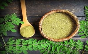 Prix compétitif pour les vacances de poudre de morinja - Product Image 3
