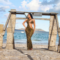 2025 nouveauté léopard imprimé pansement Bikini ensemble XS-XL taille haute Sexy découpé guépard couvrir robe pour les femmes