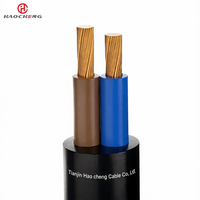 Kabel Tambang Multicore Fleksibel Berlapis Karet Tembaga MZ untuk Bor Listrik Bawah Tanah 0.3/0.5kV