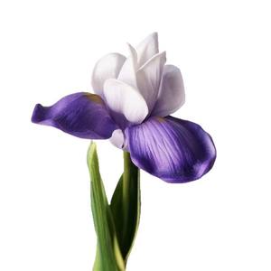 Fleurs artificielles du fabricant direct, toucher réaliste, petites fleurs d'<span class=keywords><strong>iris</strong></span> en PU, fleurs décoratives douces, fraîches et simples pour la maison, mariage et <span class=keywords><strong>photographie</strong></span> - Product Image 5