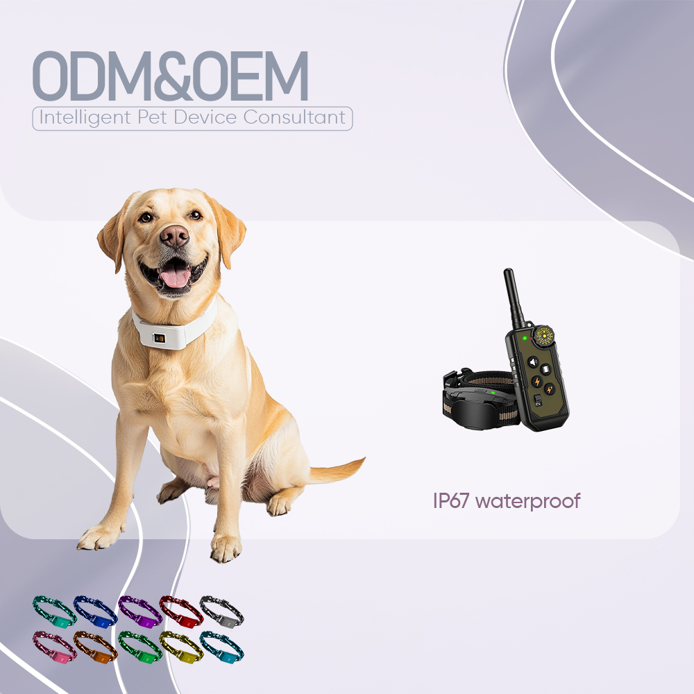 OEM & ODM, новое умное устройство для дрессировки собак, ЖК-дисплей IP67, водонепроницаемая поддержка от одного до двух электрических тренировочных ошейник для поведения и тренировок