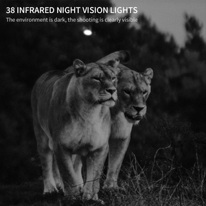 IP66 không thấm nước Đường Mòn máy ảnh PIR Night Vision Video Camera chim ăn ảnh xem - Product Image 4