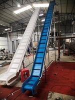 Convoyeur à bande modulaire automatique à grande inclinaison pour le levage de bonbons, de soja vert, de légumes et de tomates, avec trémie d'alimentation - Prix