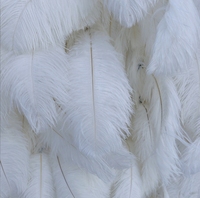 Panneaux muraux décoratifs de mariage 3D enroulables en tissu de soie artificielle blanche avec fleurs toile de fond