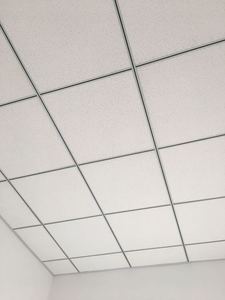 Placa decorada do teto do gesso Plafond Pvc Vinyl Plank para tetos