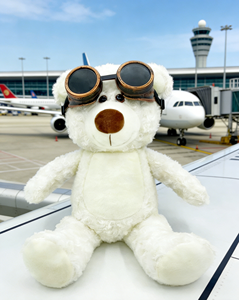 Oso de Peluche Blanco para Bebé, Directo de Fábrica, 30 cm, Relleno de Algodón PP Suave, Material de Algodón y Peluche, Regalo para Fiestas Infantiles - Product Image 1
