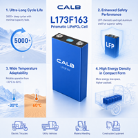 خلية بطارية CALB 163Ah LiFePO4 بجهد 3.2 فولت، درجة A، مستوى EUCAR 2، آمنة، تم اختبارها ضد التكسير والاهتزاز والحرارة، مناسبة للمركبات الكهربائية