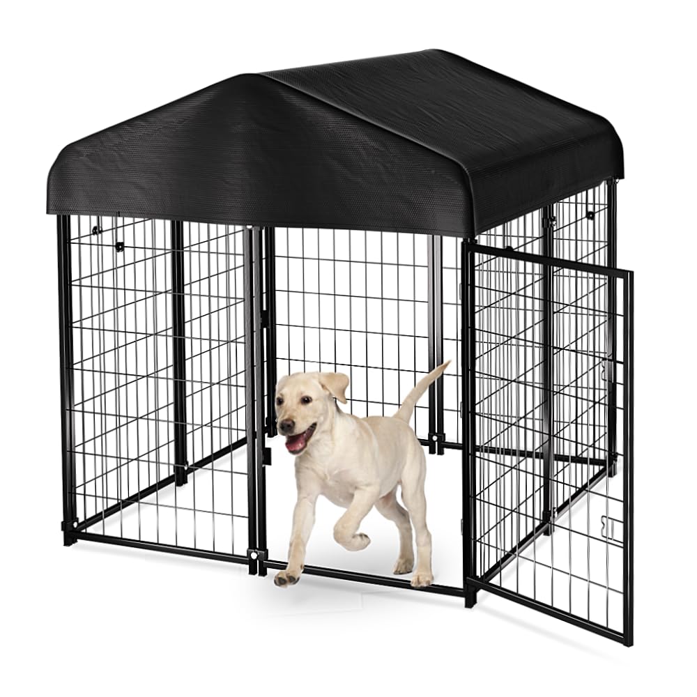 Small Dogs Animal Shelter Puppies For Sale Animal Shelter Preloved