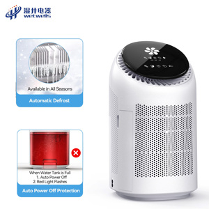 Promoción WETWELLS: Deshumidificador HEPA Eléctrico Pequeño 2 en 1, Deshumidificador Doméstico Inteligente y Portátil, Equipo de Purificación de Aire, Mejor Precio - Product Image 6