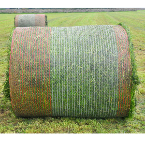 Filet de protection contre la grêle pour serre agricole Filet à foin en plastique HDPE pour palettes - Product Image 6