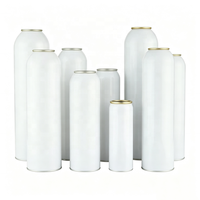 Expédition Rapide – Bouteille Vaporisateur Vide en Aluminium Personnalisable (150ml, 200ml, 300ml) pour Parfum et Brume Corporelle – Différents Formats Disponibles