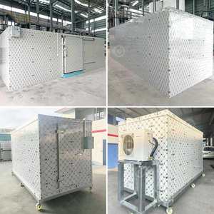 Congelador vertical expositor modular para aves de corral, cámara frigorífica y enfriador. - Product Image 2