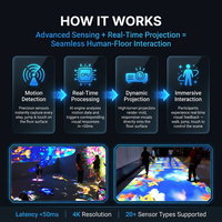 Sistema de Software de Iluminación Interactiva para Proyectores, Entretenimiento Nocturno, Juego de Proyección Interactiva para Pisos, Piscina, HD 1080p, Enfoque Automático