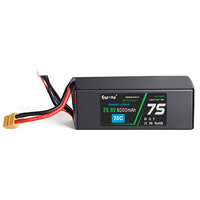 25.9V 6000mAh 155.4Wh Paket baterai lithium 24v berdampingan dengan BMS untuk Peralatan Tenaga Vakum Tanpa Kabel AGV Kustom OEM ODM