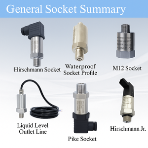 جهاز إرسال ضغط هيدروليكي من الفولاذ المقاوم للصدأ OEM ATEX 0-5v 4-20ma RS485 - Product Image 6