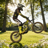 Surron 80 km/h VITESSE MAXIMALE Puissant 10000W 72V 35Ah Moto tout-terrain électrique Surron Light Bee X pour adultes 10kW