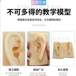 Modèle d'oreille en silicone, modèle d'oreille souple en TPR, moule d'oreille humaine réaliste, accessoire de démonstration pour aide auditive (oreille gauche) - Product Image 3