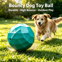Balle à facettes en TPR YMH, deux tailles, qui couine lorsqu'on la secoue, rebondissante, jouet à mâcher pour chien, pour l'entraînement des molaires et le jeu interactif humain-animal.