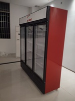 Congélateur à porte vitrée pour supermarchés, refroidissement direct, étagères réglables, 220V/110V, vitrine réfrigérée
