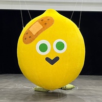 Offre Spéciale Prix Usine Fruits Gonflables Géants Personnalisés en Peluche (Citron, Litchi) pour Promotion et Publicité Alimentaire