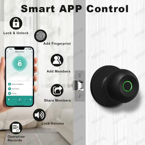 Sferisch Slim Vingerafdrukslot Zonder Gaten Te Openen Slaapkamer Huisdeur Digitale Balknop Sleutelloze Slotenmaker-Benodigdheden - Product Image 4