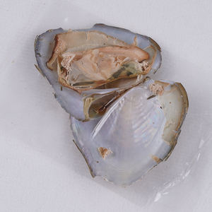 Оптовая продажа натурального пресноводного жемчуга, раковины устриц, свежие устрицы и жемчуг от завода - Product Image 3