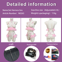 Set Lingerie Erotis Wanita dengan Bra Halter, Tali Garter, dan Renda Bunga Berpayet Pink Custom Grosir, OEM ODM Diterima