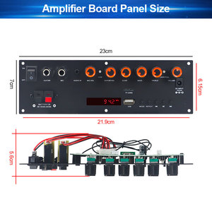 Vire ngoài trời di động <span class=keywords><strong>Bluetooth</strong></span> 12V/24V lithium pin kỹ thuật số Board khuếch đại công suất 70W Mono kênh thu Bộ khuếch đại - Product Image 5