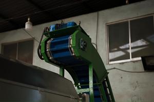 Machine à peler les noix de cajou, type 3 rainures, capacité : 350-400 kg/h, machines de transformation des noix de cajou entièrement automatiques - Product Image 4