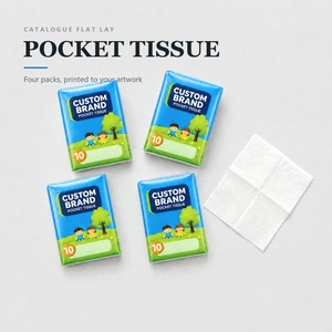 กระดาษทิชชูแบบพกพา ยี่ห้อสั่งทำพิเศษ แพ็คเดี่ยว 10 แผ่น แบบแบน - Product Image 3