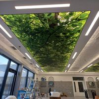 Plafond tendu en PVC, matériau ignifuge, film de décoration intérieure tendance, boîte à lumière en tissu rétroéclairé par LED