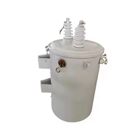Transformateur de distribution d'énergie monophasé YIFA de petite taille, 100 kVA, 13,8 kV, 110 V/220 V, à huile, 50 Hz/60 Hz, entrée 110 V, monté sur poteaux