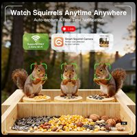 Cadeaux pour les Amateurs d'Écureuils : Mangeoire à Oiseaux en Bois à Fixation Arbre, Alimentée par Énergie Solaire, Mangeoire Intelligente en Cèdre pour Écureuils avec Panneau Solaire