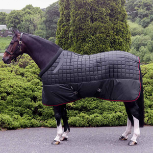 Tapis d'écurie d'hiver de haute qualité avec rembourrage en molleton doux et coton construit pour la chaleur et le confort du cheval dans le froid - Product Image 5