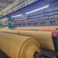 Machine à tisser les filets E9 pour l'agriculture, la protection solaire et la fabrication de moustiquaires, machine à tricoter par chaîne Raschel