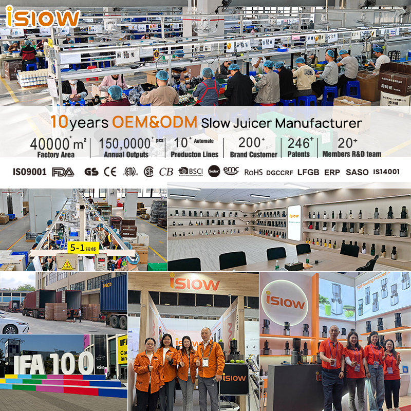 electric fruit juicer portable slow