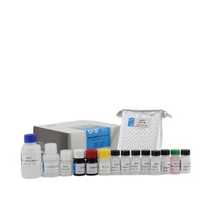 Malaquita-kit <span class=keywords><strong>de</strong></span> prueba ELISA <span class=keywords><strong>de</strong></span> residuos <span class=keywords><strong>de</strong></span> <span class=keywords><strong>drogas</strong></span> verdes, para tejido <span class=keywords><strong>de</strong></span> seguridad <span class=keywords><strong>de</strong></span> mariscos - Product Image 5