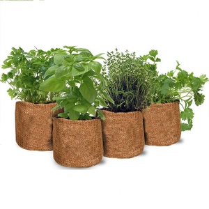 Produits de jardinage, ensemble de plantation, boîte à plantes et herbes pour le jardinage, vente en gros, kit de démarrage pour bonsaï - Product Image 2