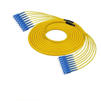 FTTH SC UPC SC APC Branch Fanout Patch Cord 8/12/24/48 Core Fiber Optique Jumper SM/MM Trunk Cable Câbles de Communication