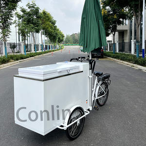 Chariots de crème glacée de vélo électrique chariot de boisson de voyage chariot poussoir de réfrigérateur <span class=keywords><strong>à</strong></span> vendre - Product Image 2