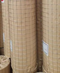 溶融亜鉛メッキ溶接金網ロール50mm x 50mm正方形穴3.0mm厚構造フェンシング動物保護カスタム - Product Image 4