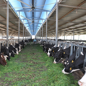 HVLS Industrieventilator Deckenventilator Vietnam für Milchkuhställe - Product Image 2