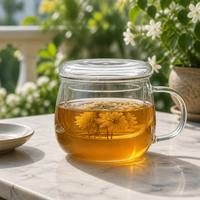 Juego de Tazas de Té de Vidrio de Borosilicato de Alta Resistencia al Calor, de Tres Piezas, con Infusor y Tapa, para Uso en Oficina