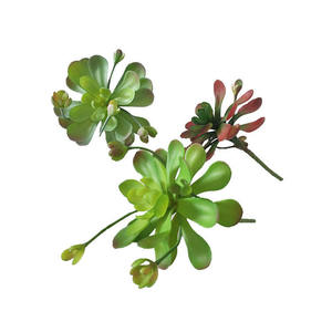 Planta <span class=keywords><strong>Suculenta</strong></span> Artificial de Alta Simulación, <span class=keywords><strong>Flor</strong></span> de Loto Artificial para Decoración de Paredes del Hogar, Planta Artificial Decorativa - Product Image 4