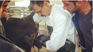 Máquina de ultrasonido veterinario Kx5200 ultrasónica modo B digital completo para vacas, gatos, perros, bovinos, equinos - Product Image 4