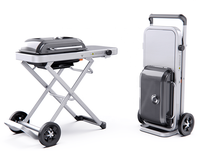 Barbecue à gaz breveté avec chariot pliable et table d'appoint Barbecue au propane portable avec couvercle pour patio extérieur Barbecue de jardin Camping