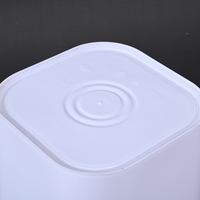 Vente en gros de seaux carrés recyclables de 5L, 10L, 12L, 16L, 20L, de qualité alimentaire, pour le stockage du vin, du miel, du gaz, en PP et en métal