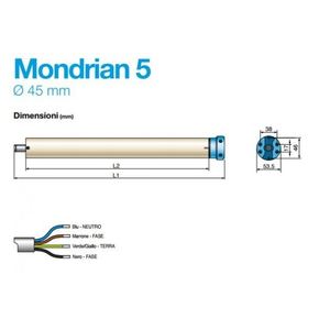 ชุดม่านม้วน Came Mondrian 5 รุ่น 001UY0020 มอเตอร์ท่อ 30 นิวตันเมตร ระบบไฟฟ้าอัตโนมัติ IP44 พลาสติก ดีไซน์ทันสมัย - Product Image 2